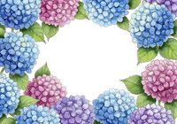 Watercolor hydrangea frame with blue, purple, and pink blooms and green leaves, forming an oval copy space on white background.