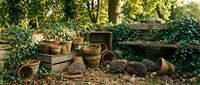 Old weathered terracotta pots and wooden crates scattered in overgrown garden corner with ivy-covered stone wall creating rustic abandoned greenhouse atmosphere.