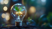 Green plant growing inside glowing light bulb on natural background with bokeh lights representing eco-friendly innovation and sustainable energy solutions.