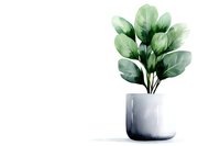 Minimalist watercolor fiddle leaf fig plant in white ceramic pot against clean white background, soft green leaves creating modern home decor element.
