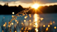 Golden sunburst through delicate grass silhouettes at sunset, with sparkling bokeh reflections on water creating dreamy natural atmosphere at dusk.