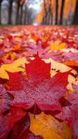 Vibrant red maple leaf with water drops on autumn forest ground covered in fallen orange and red leaves, creating seasonal nature background with bokeh effect.