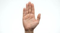 Open palm hand gesture showing stop sign isolated on white background for communication and body language concepts.