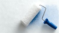 Paint roller with blue handle and white textured roller brush casting shadow on light surface, showing clean and used sides for home renovation and painting projects.