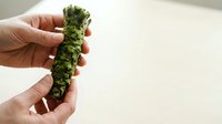 Hands holding dried cannabis bud with visible trichomes against neutral background, suitable for medical, educational, and wellness content use.