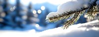 Snow-covered pine branch against blurred winter forest background with bokeh lights creating serene seasonal atmosphere.