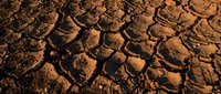 Cracked dry earth texture with deep fissures and brown soil patterns, suitable for environmental, climate change, drought, and nature-themed design projects.