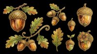 Autumn acorns and oak leaves clipart set, isolated on transparent background, ready for stickers, t-shirt design, print on demand, and sublimation projects.