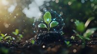 Young green sprout growing from soil surrounded by digital network visualization, symbolizing agricultural technology and smart farming innovation.