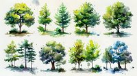 Watercolor collection of green trees with various shapes and foliage types, painted in soft brushstrokes with natural shadows and ground details.
