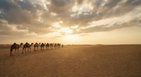 Camel caravan silhouettes walking across golden desert dunes at sunset with dramatic cloudy sky creating warm atmospheric lighting for travel concepts.