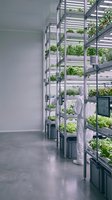 Modern vertical farming system with LED grow lights and stacked plant cultivation shelves in controlled indoor agricultural facility for sustainable food production.