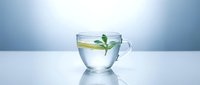 Glass cup of hot water with lemon slice and fresh mint leaves, isolated on white background, suitable for beverage, wellness, and health-related design projects.
