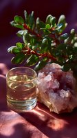 Fresh green plant branch with rose quartz crystal and glass of clear liquid on pink fabric surface in moody lighting with dramatic shadows.