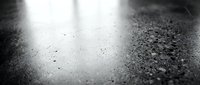 Water droplets on dark asphalt surface with dramatic lighting creating atmospheric mood for weather and rain concepts.