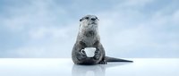 Otter holding white cup against snowy background, suitable for winter beverage advertising, holiday marketing, and humorous animal-themed designs.