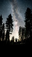 Silhouetted couple standing in forest clearing gazing at Milky Way galaxy stretching across starry night sky above tall pine trees at dusk. Use for astronomy, nature, travel, romance.