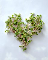 Fresh microgreens arranged in heart shape on white background, symbolizing healthy eating and love for nutritious food.