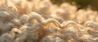 Fluffy white sea foam bubbles on sandy beach shore with warm golden sunlight creating dreamy coastal atmosphere for relaxation and summer vacation concepts.