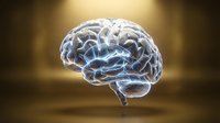 Glowing translucent human brain with electric blue neural pathways and synapses firing, floating against warm golden background for medical education.