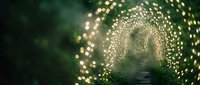 Mystical tunnel of golden lights creating spiral pathway through ethereal green mist and fog for fantasy backgrounds and spiritual concepts.