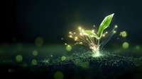 Young green sprout growing from soil with glowing magical light particles and sparkles against dark background, nature growth concept with bokeh effect.