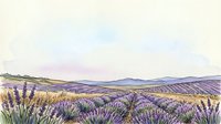 Lavender field landscape with rolling hills and golden wheat under soft pastel sky, suitable for travel, wellness, and nature-themed designs.