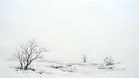 Barren winter landscape with leafless trees and sparse vegetation scattered across snow-covered terrain, suitable for environmental and seasonal design projects.