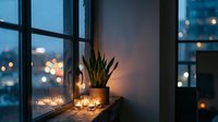 Cozy evening windowsill scene with snake plant, candles and warm lighting creating peaceful ambiance for relaxation and home decor inspiration.