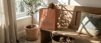 Terracotta paper bag with hello text on rustic wooden bench beside potted olive tree in warm sunlit boho interior setting.
