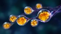 Glowing orange spheres connected by luminous purple strands float against dark background, creating abstract cellular or neural network visualization for science concepts.