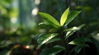 Fresh green leaves with sunlight filtering through forest canopy, creating natural bokeh effect. Perfect for environmental or botanical design projects.