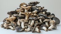Fresh organic oyster mushrooms pile on light background, mixed variety of brown and gray edible fungi showing texture and natural patterns.