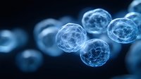 Glowing blue spherical cells with detailed internal structure floating in dark space, scientific visualization showing molecular biology and medical research.