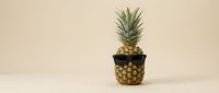 Cool pineapple wearing black sunglasses on beige background. Trendy tropical fruit character for summer designs, social media content, and creative projects.
