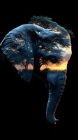 Double exposure silhouette of elephant head combining African savanna sunset landscape with acacia trees, dramatic sky and wildlife conservation concept.