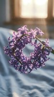 Purple hyacinth flowers arranged in heart shape on soft fabric near sunny window creating romantic spring atmosphere for wedding or Valentine's Day decoration.