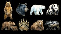 Grizzly bear, black bear, polar bear, and panda bear illustrations isolated on transparent background, ready for t-shirt design, clipart, stickers, print-on-demand products, and sublimation projects.
