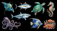 Colorful marine life collection featuring manta ray, tuna, sea turtle, seahorse, shark, octopus, tropical fish and coral. Isolated on transparent background, ready for t-shirts, clipart, stickers and print-on-demand designs.