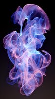 Ethereal swirls of pink and blue smoke creating abstract flowing patterns against black background, with translucent wisps merging in graceful curves and spirals.
