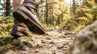 Worn leather hiking boot stepping on rocky forest trail, low angle view with sunlit trees and ferns in background. Outdoor adventure concept.