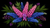 Vibrant lupine flowers arrangement with pink, blue and purple blooms against black background, symmetrical botanical composition with green leaves. Decorative floral design.