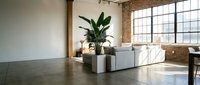 Young plant in white pot placed on floor in modern loft interior with brick walls, large windows and minimalist furniture for home decor and design projects.