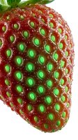 Fresh ripe strawberry with green seeds and water droplets, isolated on white background. Suitable for food, nutrition, healthy eating, and culinary design projects.