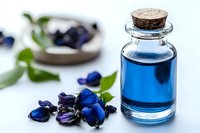 Blue butterfly pea flower extract in glass bottle with cork stopper and dried flowers, natural organic herbal ingredient for food coloring and drinks.