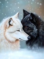 Black and white wolves face to face in tender moment against snowy winter background with falling snowflakes, showing contrast and unity in nature.