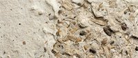 Natural handmade paper texture with organic fibers, leaves and botanical elements embedded in cream beige surface for eco-friendly craft projects.
