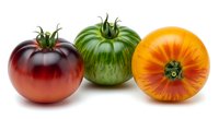 Three fresh heirloom tomatoes in red, green, and yellow varieties isolated on white background, ready for culinary, agricultural, and food design projects.