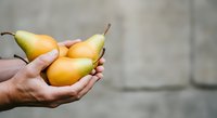 Farmer holding three golden pears in hands against blurred concrete wall background, showcasing fresh organic fruit harvest for agriculture and food industry use.