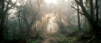 Lone hiker walking through mystical foggy forest path with dramatic sunlight filtering through ancient trees creating atmospheric woodland scene.